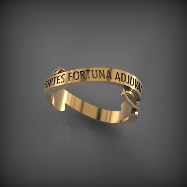 Ring 28