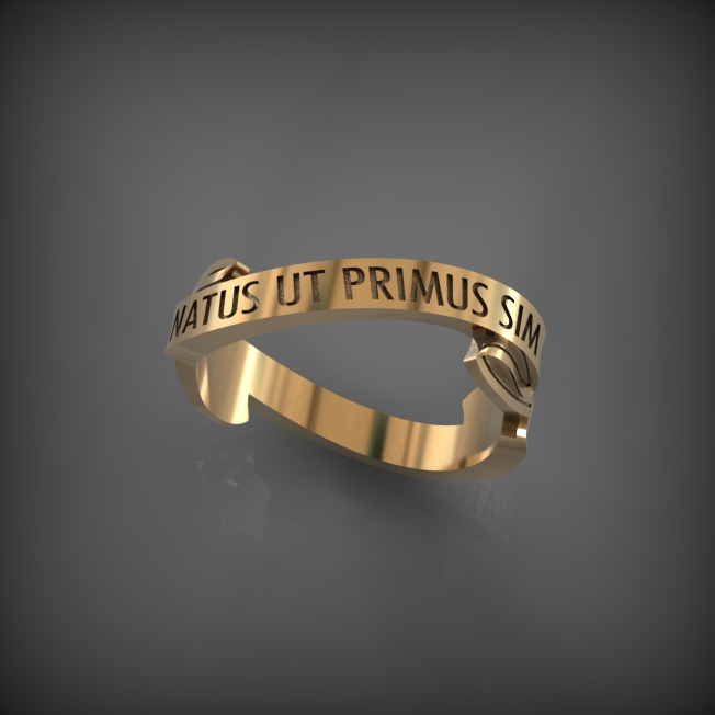 Ring 29